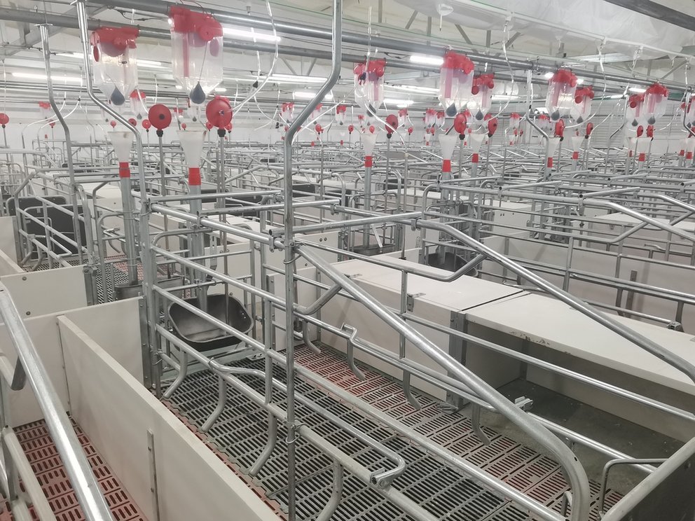 Farrowing Pen