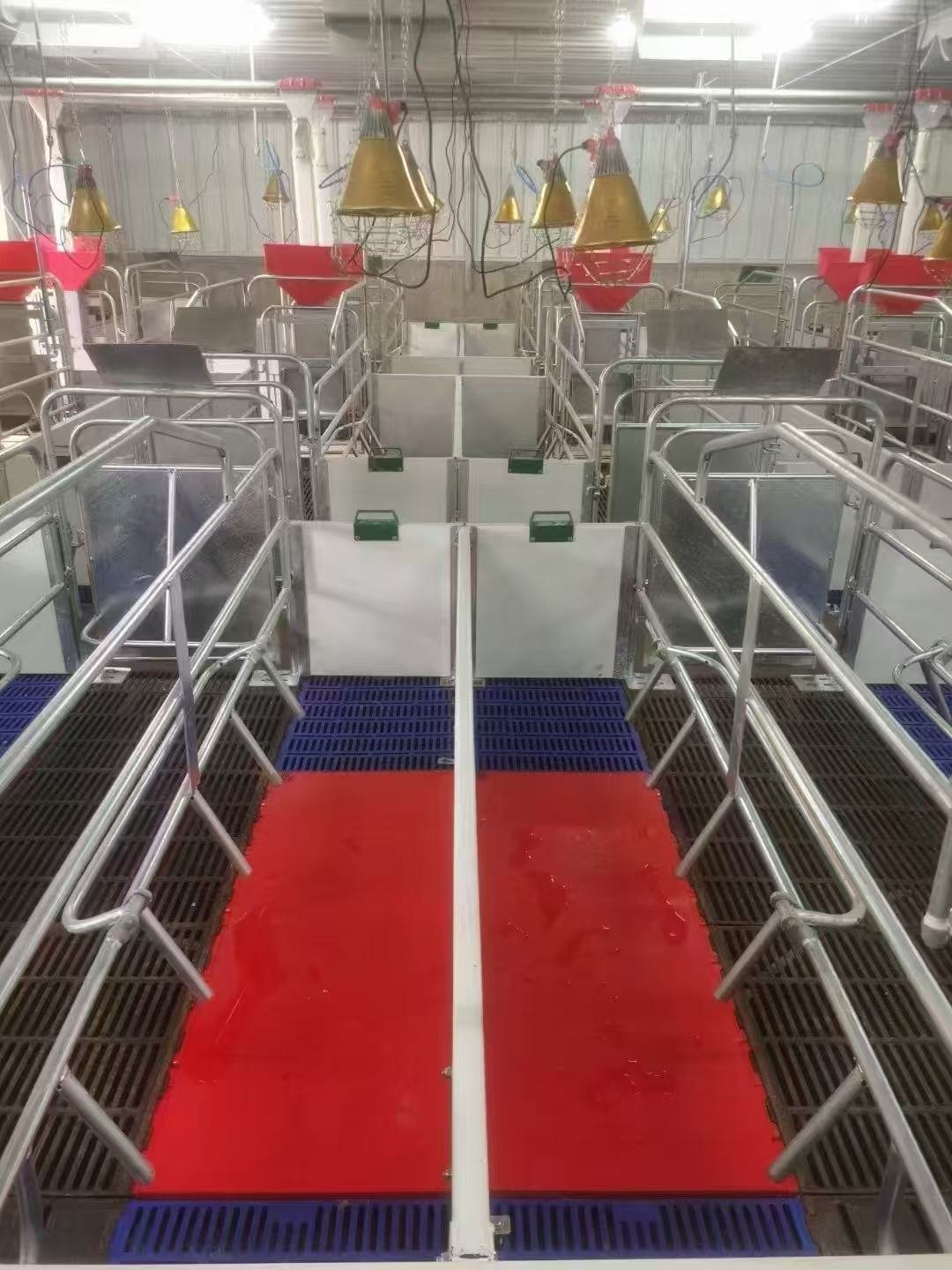 Farrowing Pen